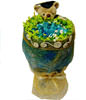 Bright color blue rose 20. Remote mountain cherry,Bear