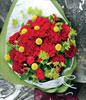 Red carnations, dragon fruit , cockscomb, roses