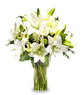 Pure Emotion: Three white lilies & gerberas