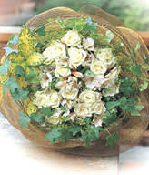 33 white roses and maple leaf