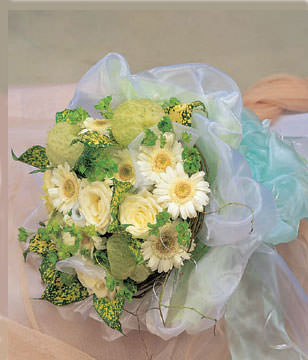 12 champagne roses ,daisy flowers and maple leafs