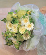 12 champagne roses ,daisy flowers and maple leafs