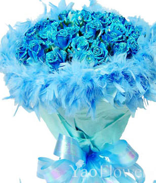 Blue Dream,66 blue roses