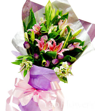 Pink Lilies,Tulips 