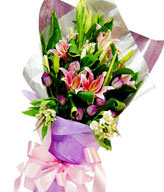Pink Lilies,Tulips 