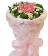 20 Pink roses