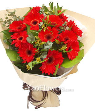 12 Red Gerbera Daisies, Alstroemeria & Greens