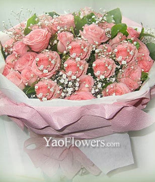 33 Diana roses