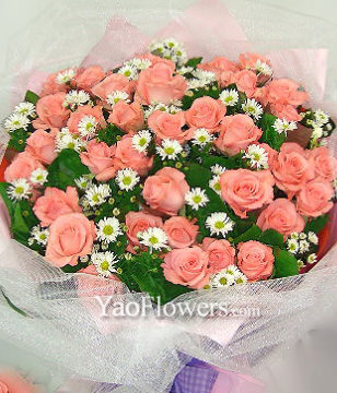 36 Pink roses