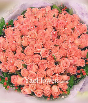101 Pink roses