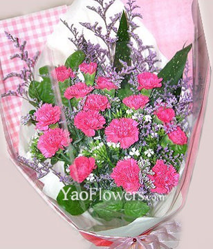 15 Peach carnations