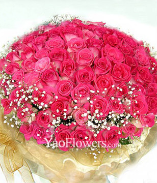 99 Peach Roses
