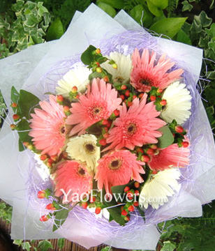 12 Gerbera Daisies