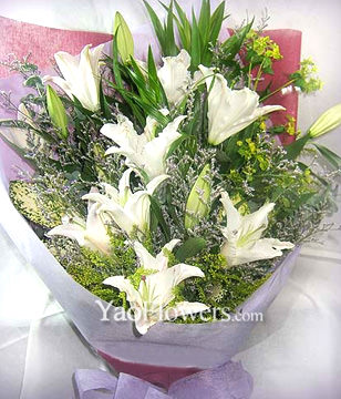 8 Lilium