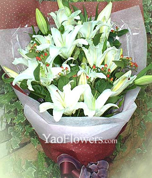 10 Lilium