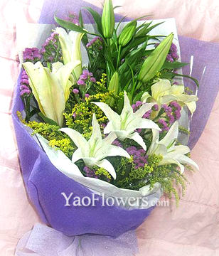 9 Lilium