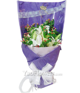 9 Lilium