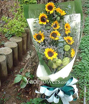 10 Sunflowers