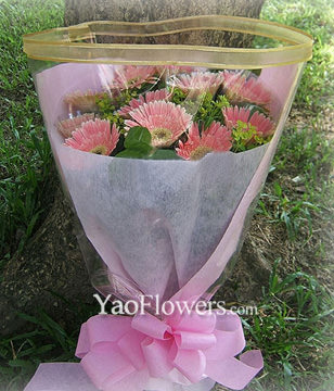 11 Pink Gerbera Daisies