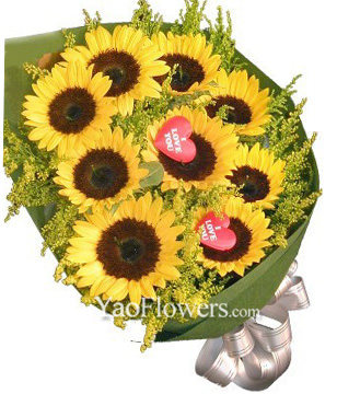 9 Sunflowers