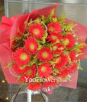 20 Red Gerbera Daisies
