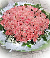 101 Diana pink roses