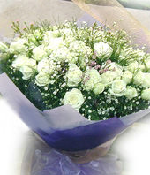101 White or Pink roses