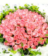 101 Roses