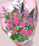 16 Peach carnations