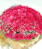 99 Peach Roses