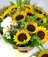 10 Sunflowers with A bear