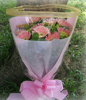 11 Pink Gerbera Daisies