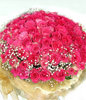 99 Peach Roses