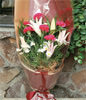 5 Lilium,6 Pink carnations