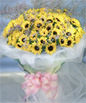 101 Sunflowers