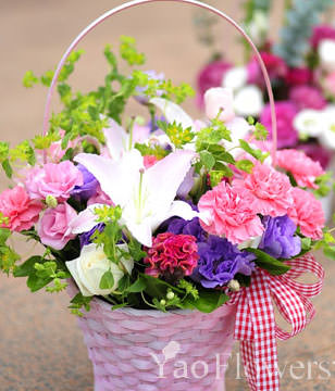 Carnation, lily basket of flowers