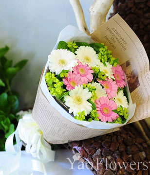 6 White Daisies,4 Red Daisies