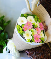6 White Daisies,4 Red Daisies