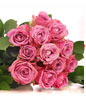 Bouquet of 12 Pink Roses