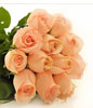 Dozen Peach Roses in a Bouquet