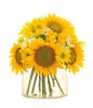 Sunflower, Yellow roses with White and Yellow Daisies in a glass vase