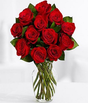 One Dozen Red Roses