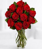 One Dozen Red Roses