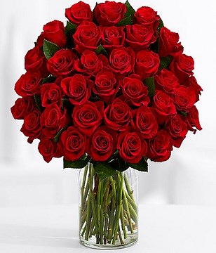 Three Dozen Red Roses