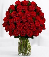 Three Dozen Red Roses