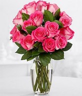18 Pink Pearl Roses