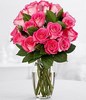 18 Pink Pearl Roses
