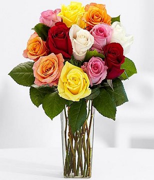 One Dozen Rainbow Roses