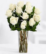 One Dozen Long Stemmed White Roses