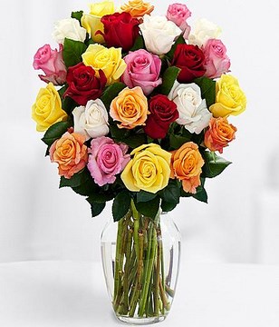 Two Dozen Long Stemmed Rainbow Roses